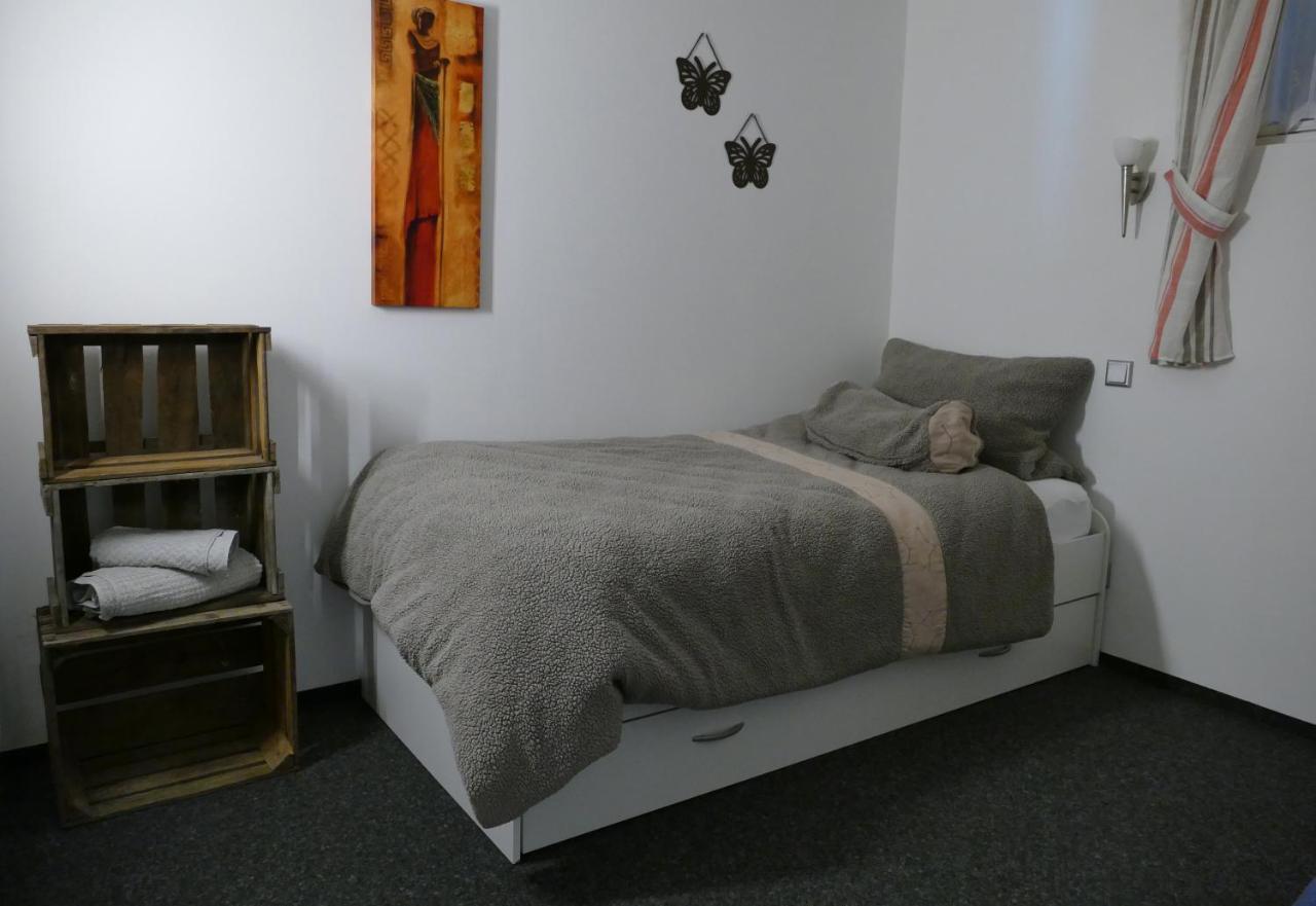 Aktiv-Ferienwohnung "Snow & Bike"- Zentral Zwischen Winterberg Und Willingen ภายนอก รูปภาพ