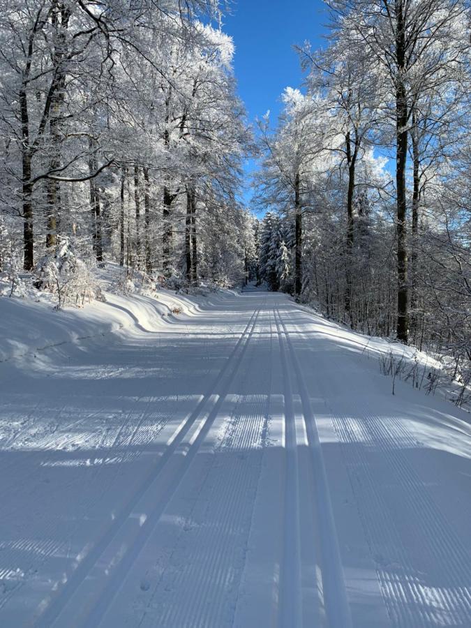 Aktiv-Ferienwohnung "Snow & Bike"- Zentral Zwischen Winterberg Und Willingen ภายนอก รูปภาพ